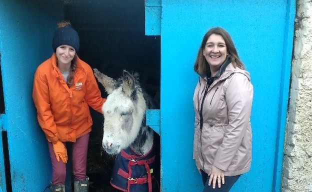 ANNOUNCEMENTS: Nua Healthcare Outreach Programme creates volunteering partnership with My Lovely Horse Rescue